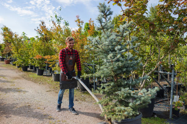 Best Tree Branch Trimming  in Elkhorn, CA